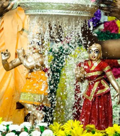 Glimpses of Radhashtami