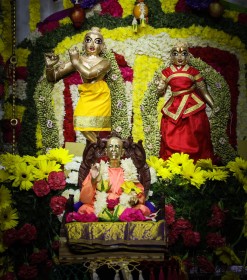 Glimpses of Radhashtami