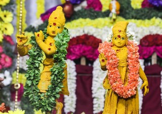 Glimpses of Radhashtami